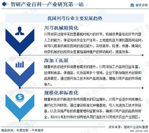 中國川芎行業(yè)發(fā)展驅(qū)動因素與市場運(yùn)行格局分析報(bào)告