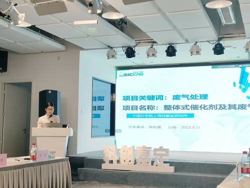 黨建領(lǐng)航 激發(fā)科創(chuàng)新動能——多方黨支部聯(lián)合開展信息技術(shù)咨詢服務(wù)主題黨日活動